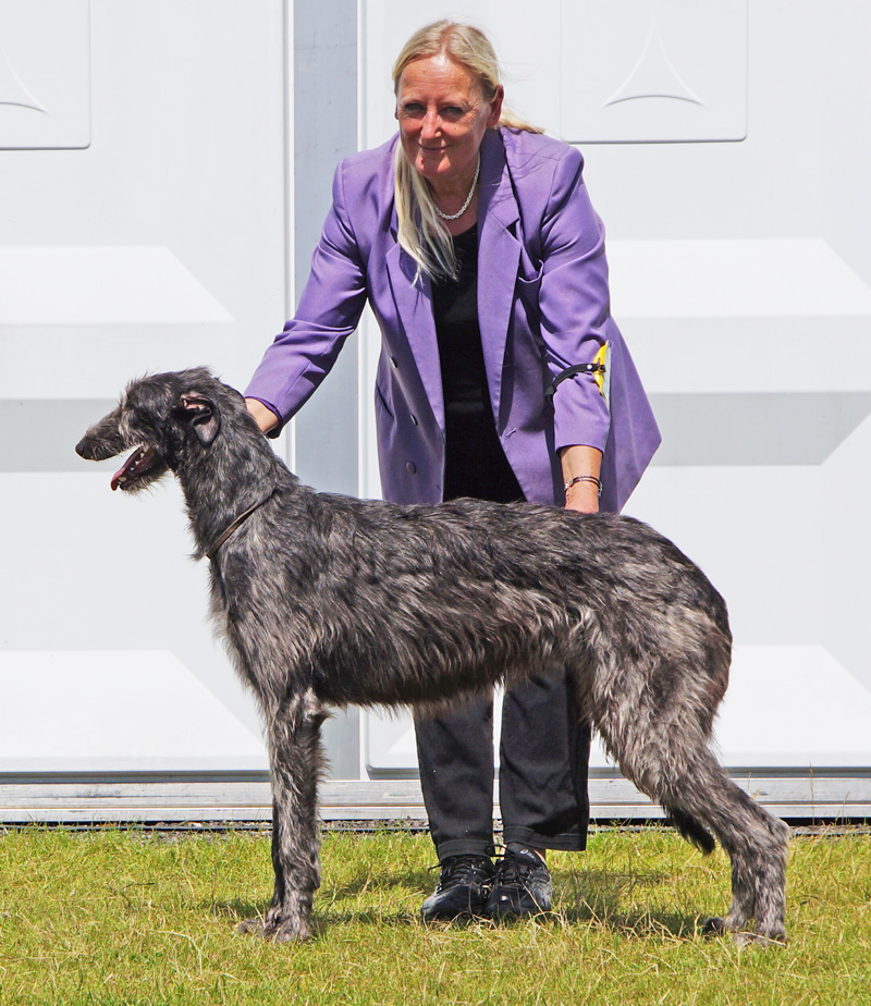 Best Puppy Blackpool 2015